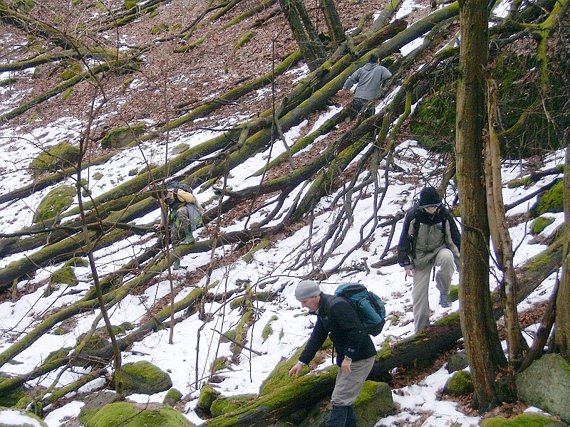 20100220 057.jpg